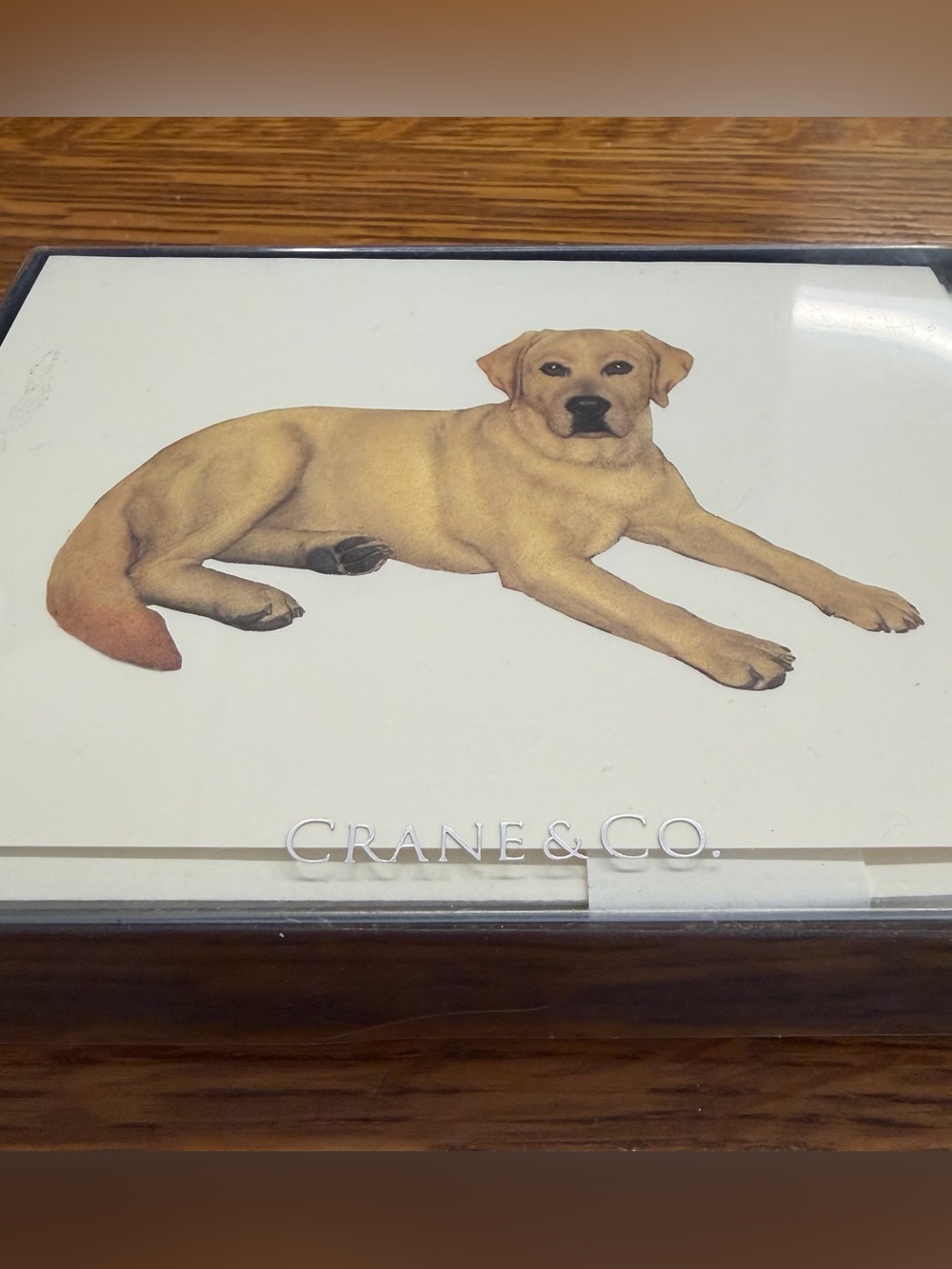 Crane & Co. Yellow Labrador Retriever “Dutch” Stationery Card 10 Pack Cotton New